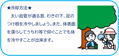冷却方法 太い血管が通る首、わきの下、足の付け根を冷やしましょう。また、体表面を濡らしてうちわ等で仰ぐことでも体を冷やすことが出来ます。