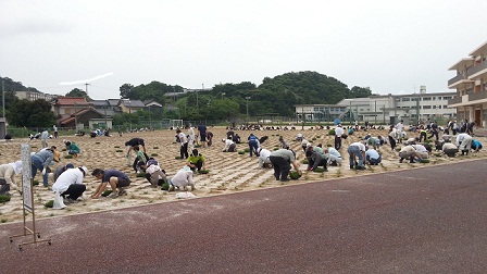300名の人がグラウンドに植栽を行っている様子の写真