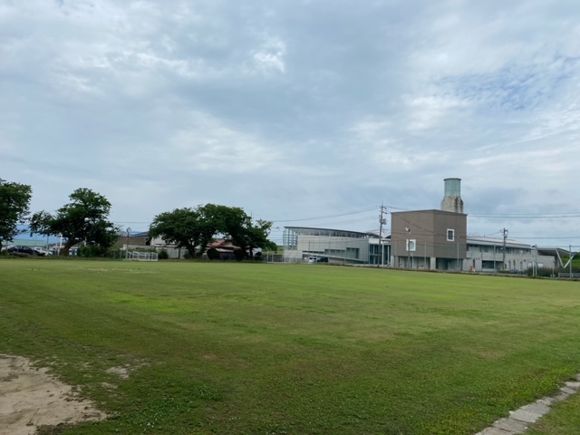 平成24年度に植栽された令和6年6月現在の八束学園の芝生の写真