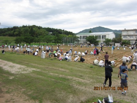 秋鹿小学校の植栽をしている様子の写真