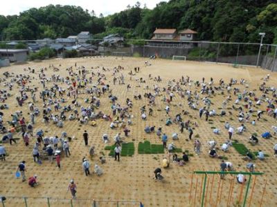 城北小学校の植栽をしている様子の写真