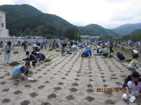 島根小学校の植栽をしている様子の写真