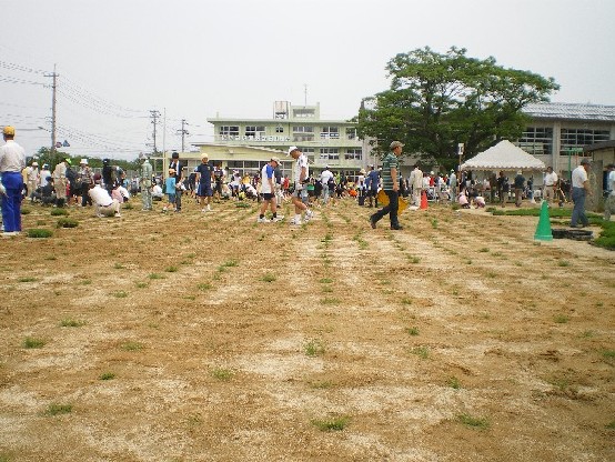 玉湯小学校の植栽をしている様子の写真