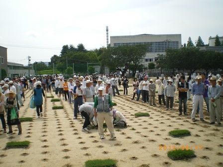 八束小学校の植栽をしている様子の写真