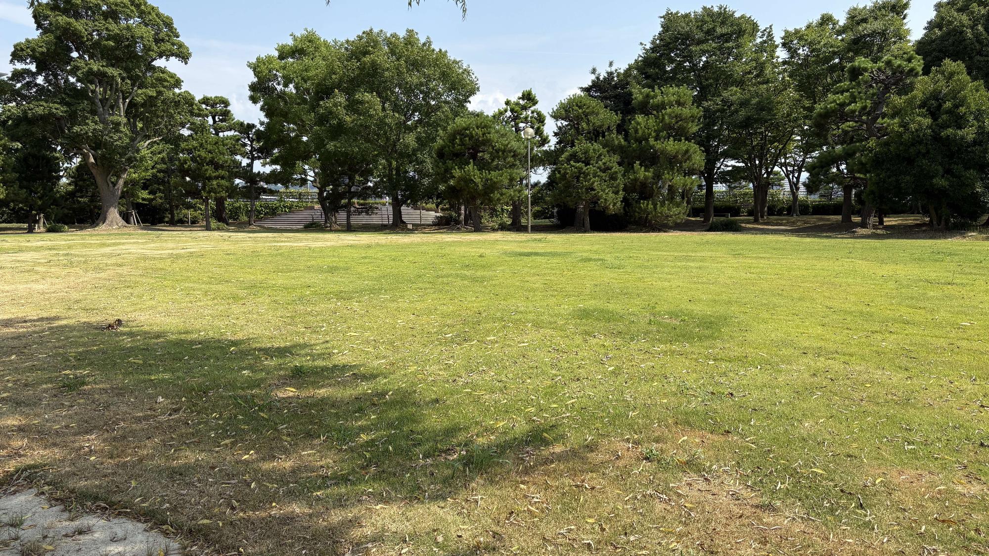 令和8年7月29日現在の末次公園