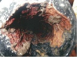 本館の汚水管の腐食が進んでいる状態の写真