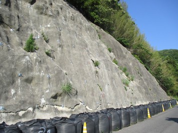 高所の千酌路線の法面に鉄筋が差し込まれている写真