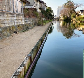 連杭工を実施した米子川護岸の写真