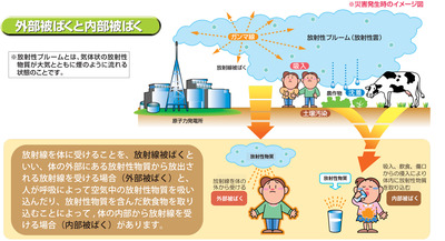 外部被ばくと内部被ばくの説明図
