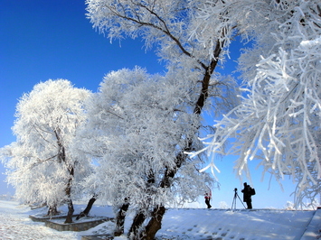 吉林の樹氷の写真