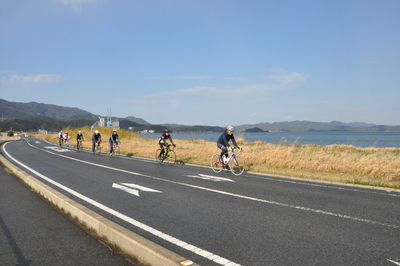 中海が見えるサイクリングコースで6人がサイクリングしている写真