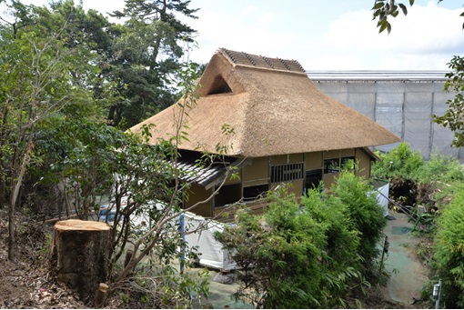 素屋根が解体された御風呂屋の建物と伐採された周囲の樹木の写真