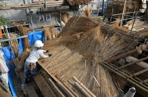 束ねた萱を重ねて屋根を補修している作業員の写真