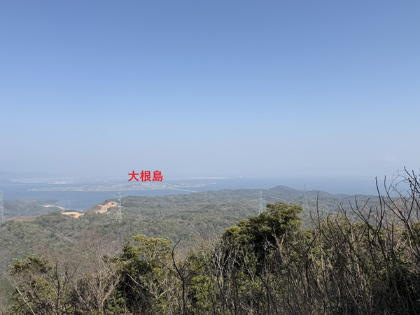 和久羅山から大根島を望む