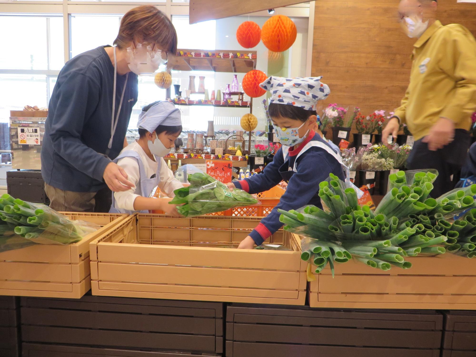 野菜を店頭に並べている様子
