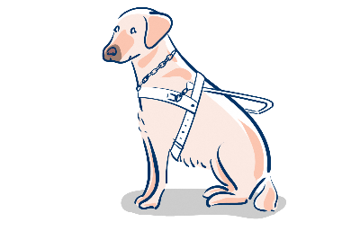 盲導犬のイメージ