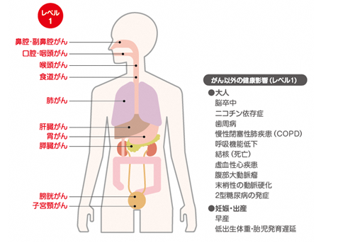 たばこを吸っている本人がなりやすいがんの種類の説明図