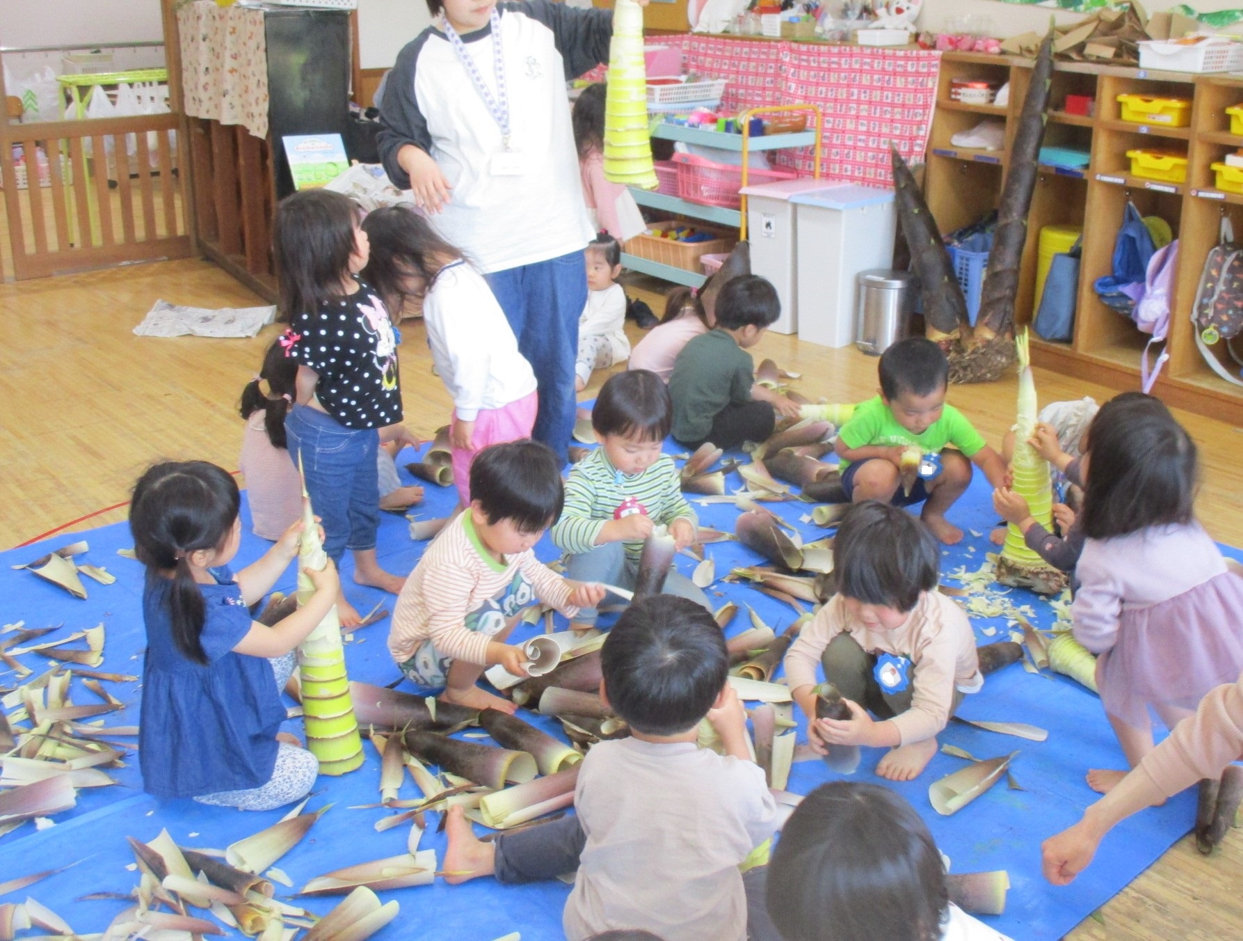たけのこの皮むきをする3歳児の様子