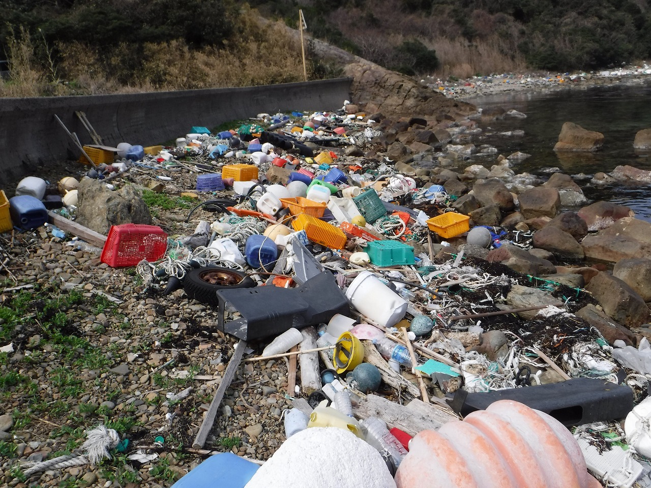 松江の海岸