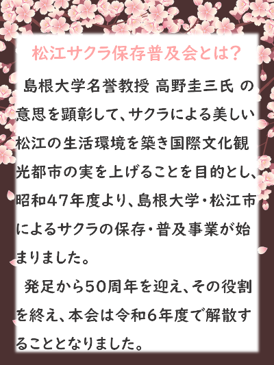 松江サクラ保存普及会とは?