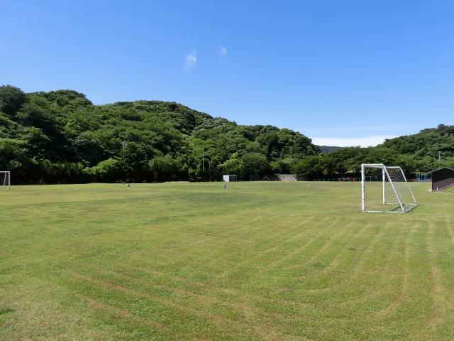 平成24年度に植栽された令和6年6月現在の恵曇小学校の芝生の写真