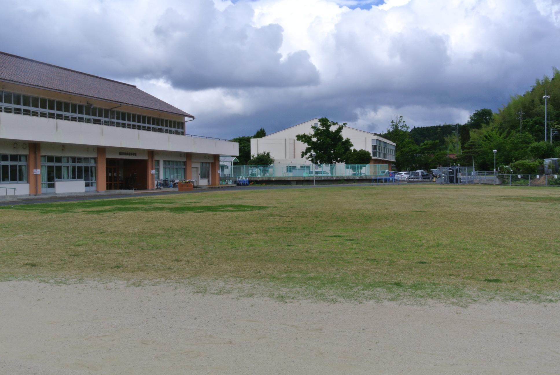 平成25年度に植栽された令和5年9月現在の本庄小学校の芝生の写真