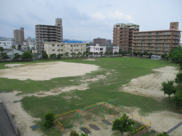 平成24年度に植栽された令和6年6月現在の母衣小学校の芝生の写真