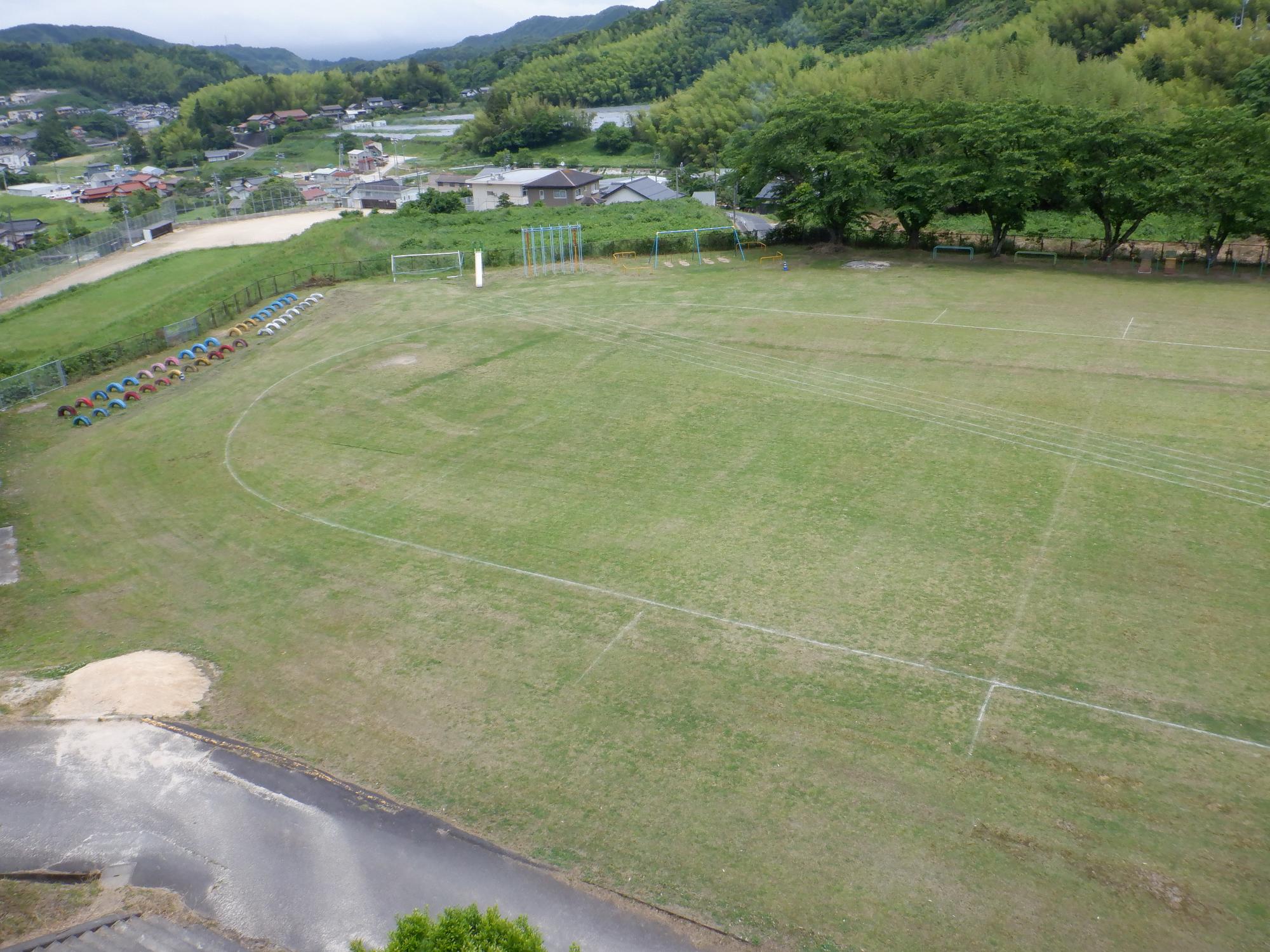 平成23年度に植栽された令和6年6月現在の忌部小学校の芝生の写真