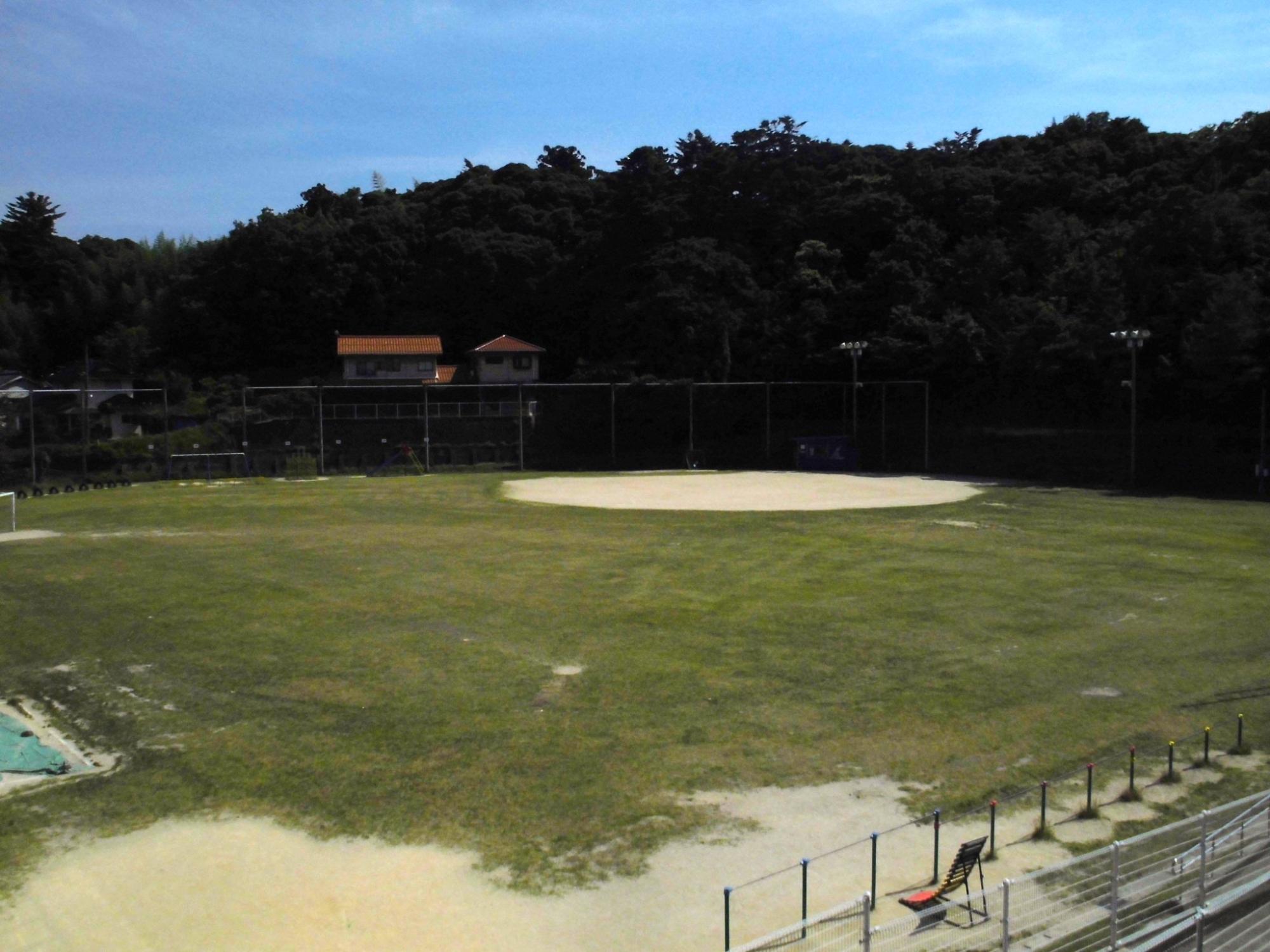 平成24年度に植栽された令和6年6月現在の城北小学校の芝生の写真