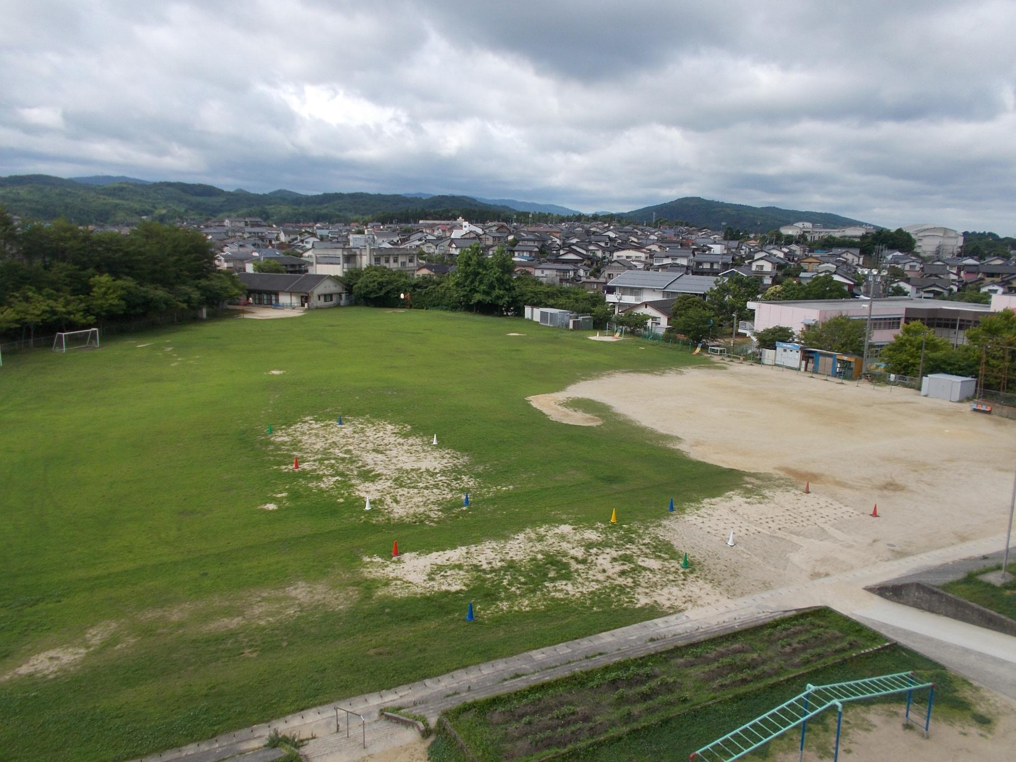 平成22年度に植栽された令和6年6月現在の古志原小学校の芝生の写真