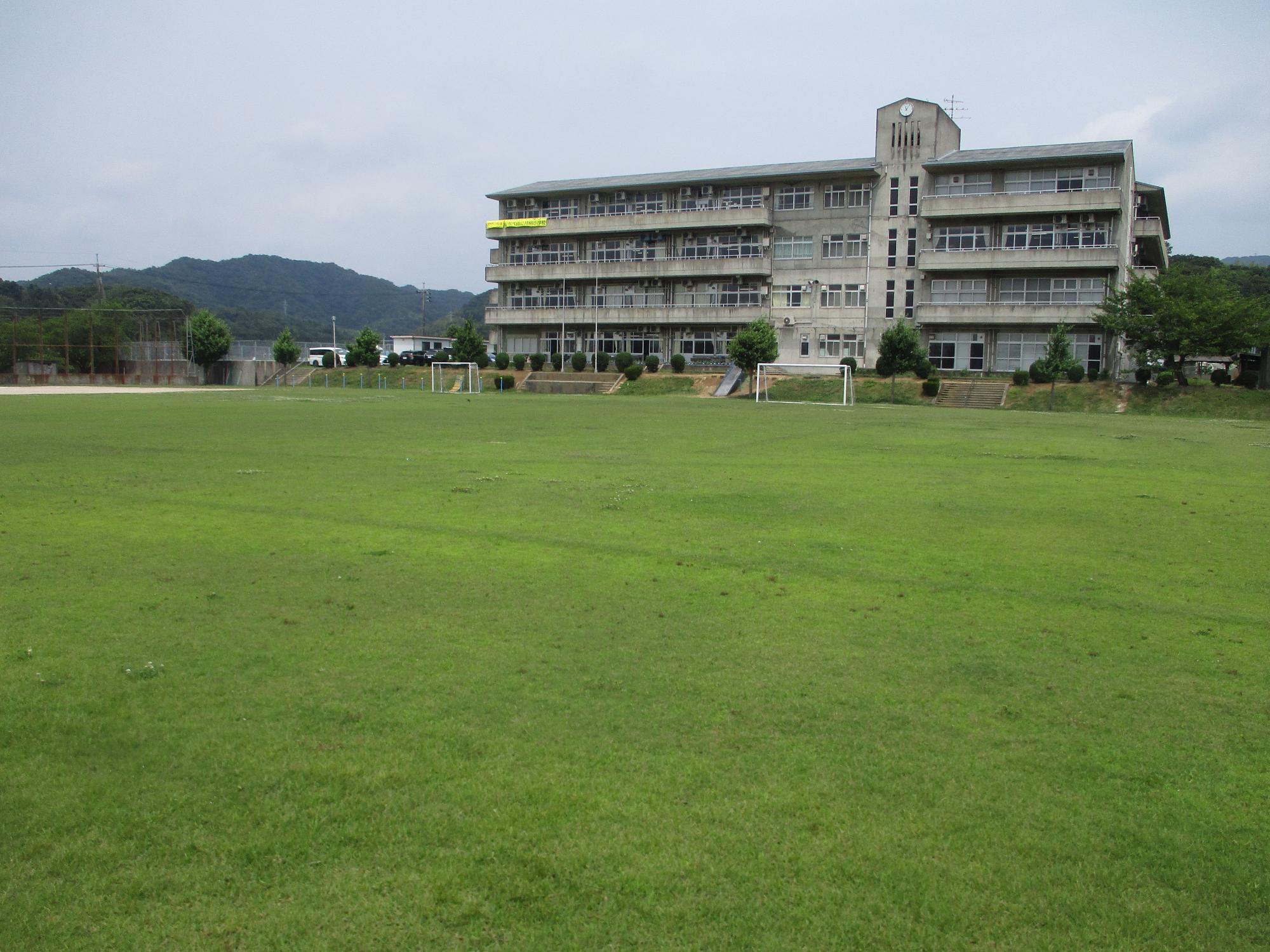 平成22年度に植栽された令和6年6月現在の持田小学校の芝生の写真