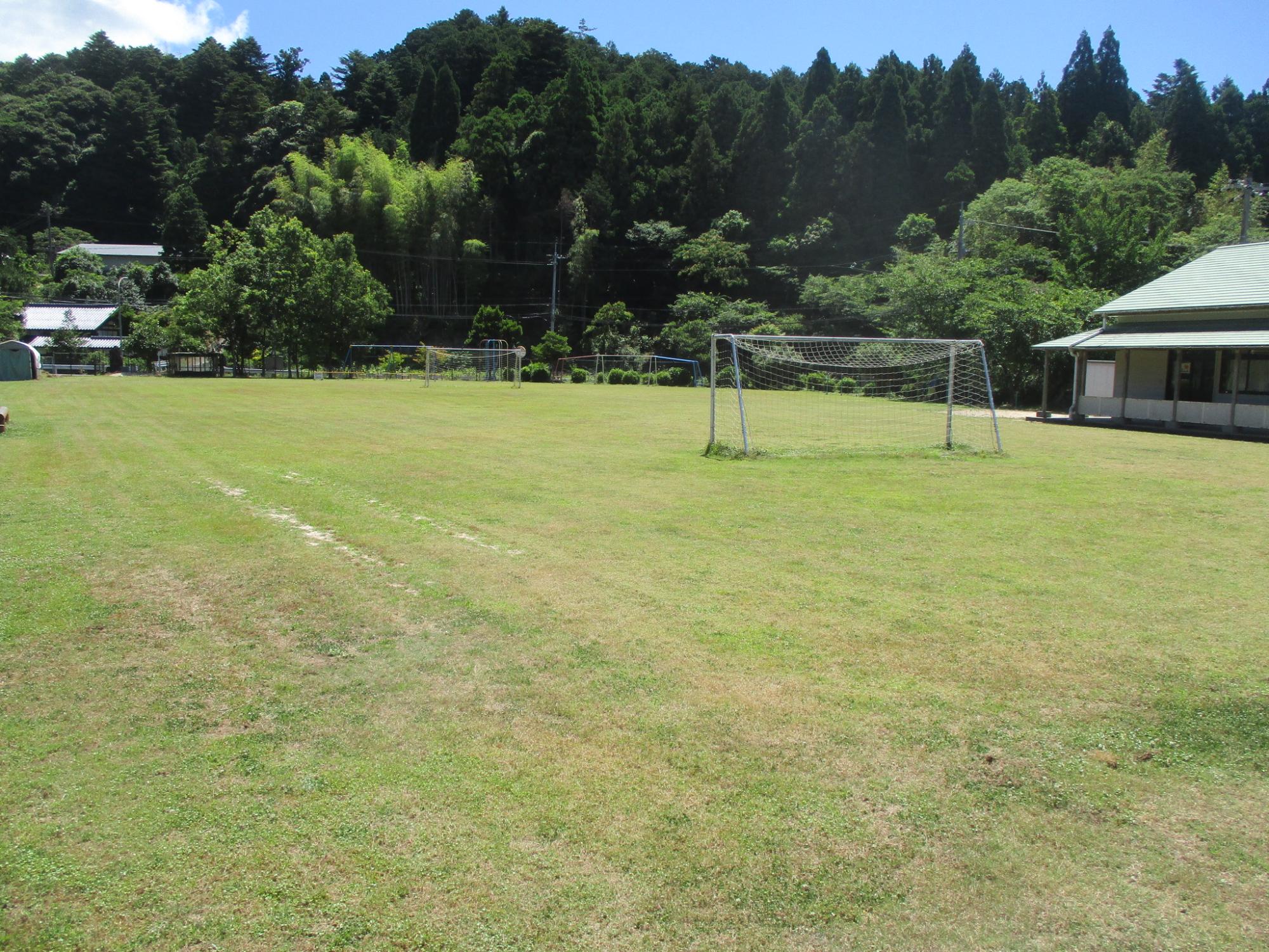 平成23年度に植栽された令和6年6月現在の大野小学校の芝生の写真