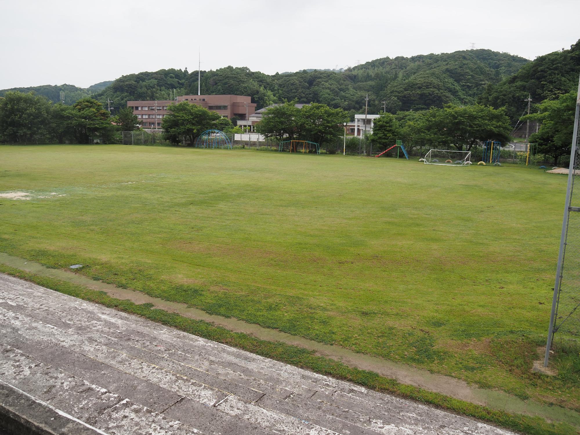 平成22年度に植栽された令和6年6月現在の佐太小学校の芝生の写真