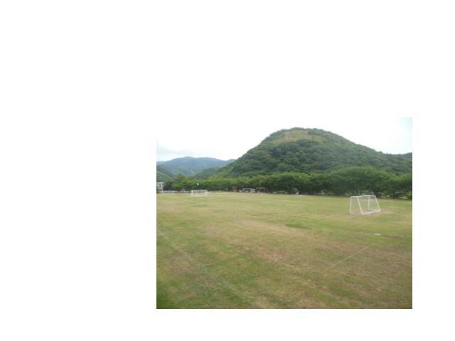 平成23年度に植栽された令和6年6月現在の島根小学校の芝生の写真