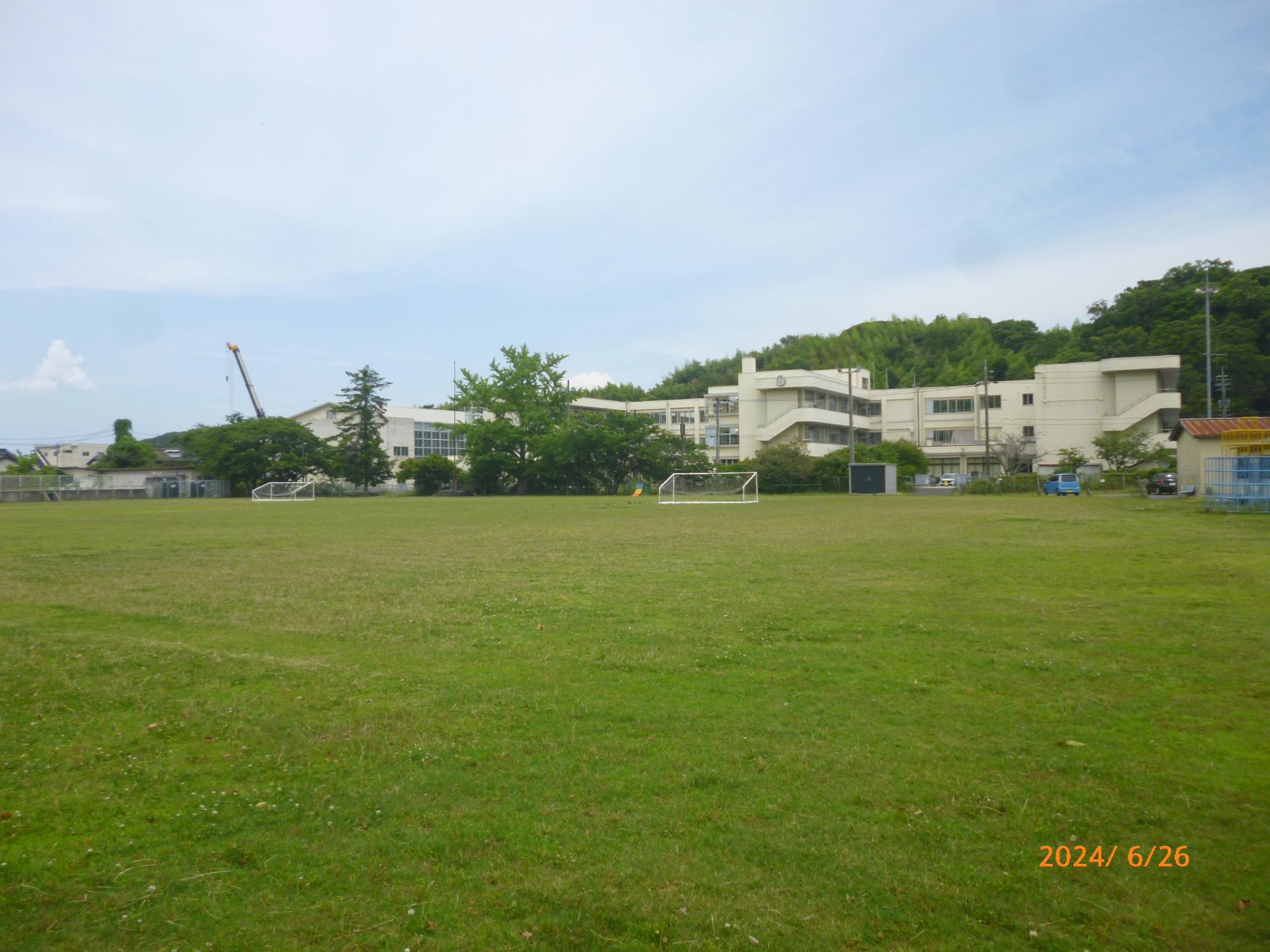 平成21年度に植栽された令和6年6月現在宍道小学校の芝生の写真