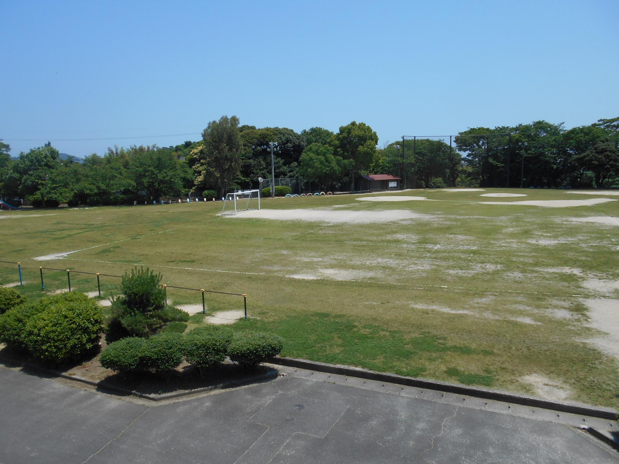 平成22年度に植栽された令和6年6月現在の竹矢小学校の芝生の写真