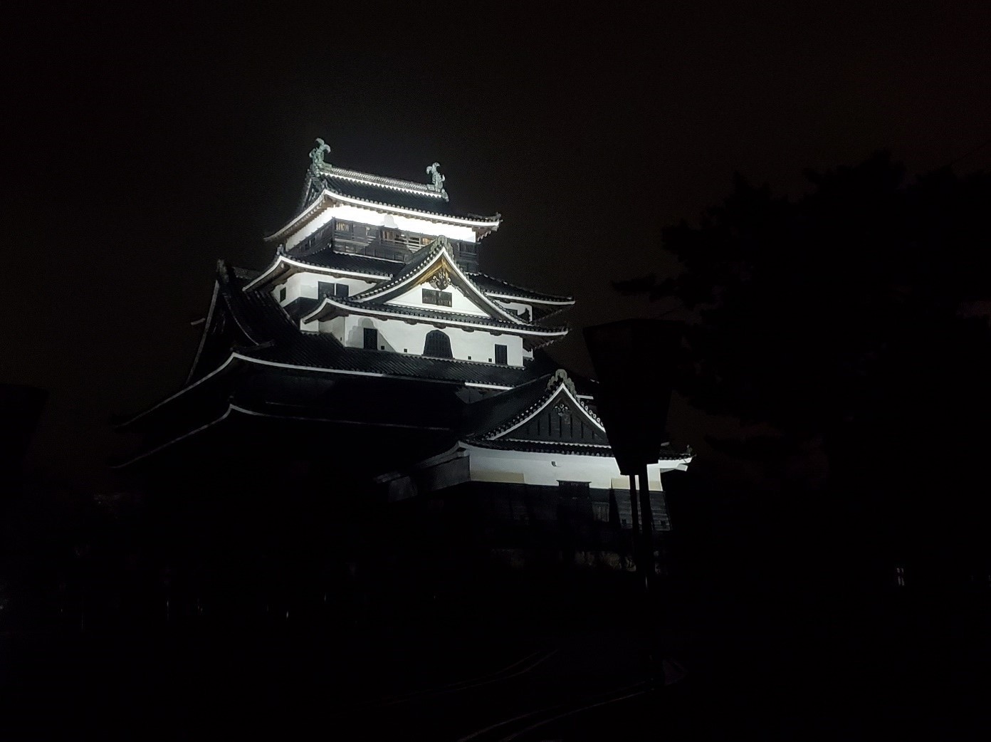 夜に白色にライトアップされた松江城の写真