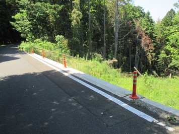 右側に林が見える第377号道路の写真