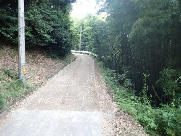 復旧工事が行われた後の陥没のない路面の写真