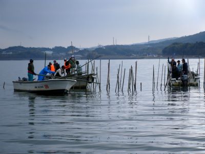 湖上における竹林漁礁の設置風景の写真