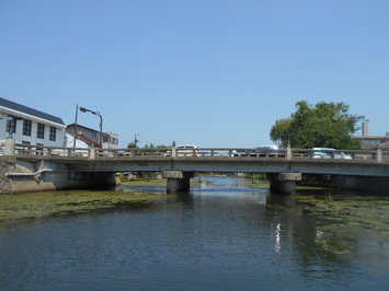 市内を流れる堀川の遠景写真。河川両岸の川面に大量の藻が発生している様子が確認できる