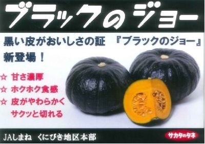かぼちゃの品種「ブラックのジョー」の広告