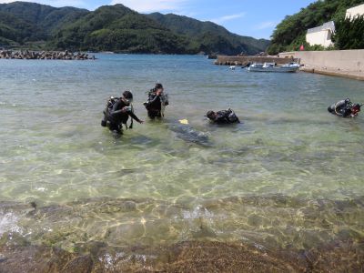 事業の一環として行われた、ダイビングモニターツアーの実施風景の写真