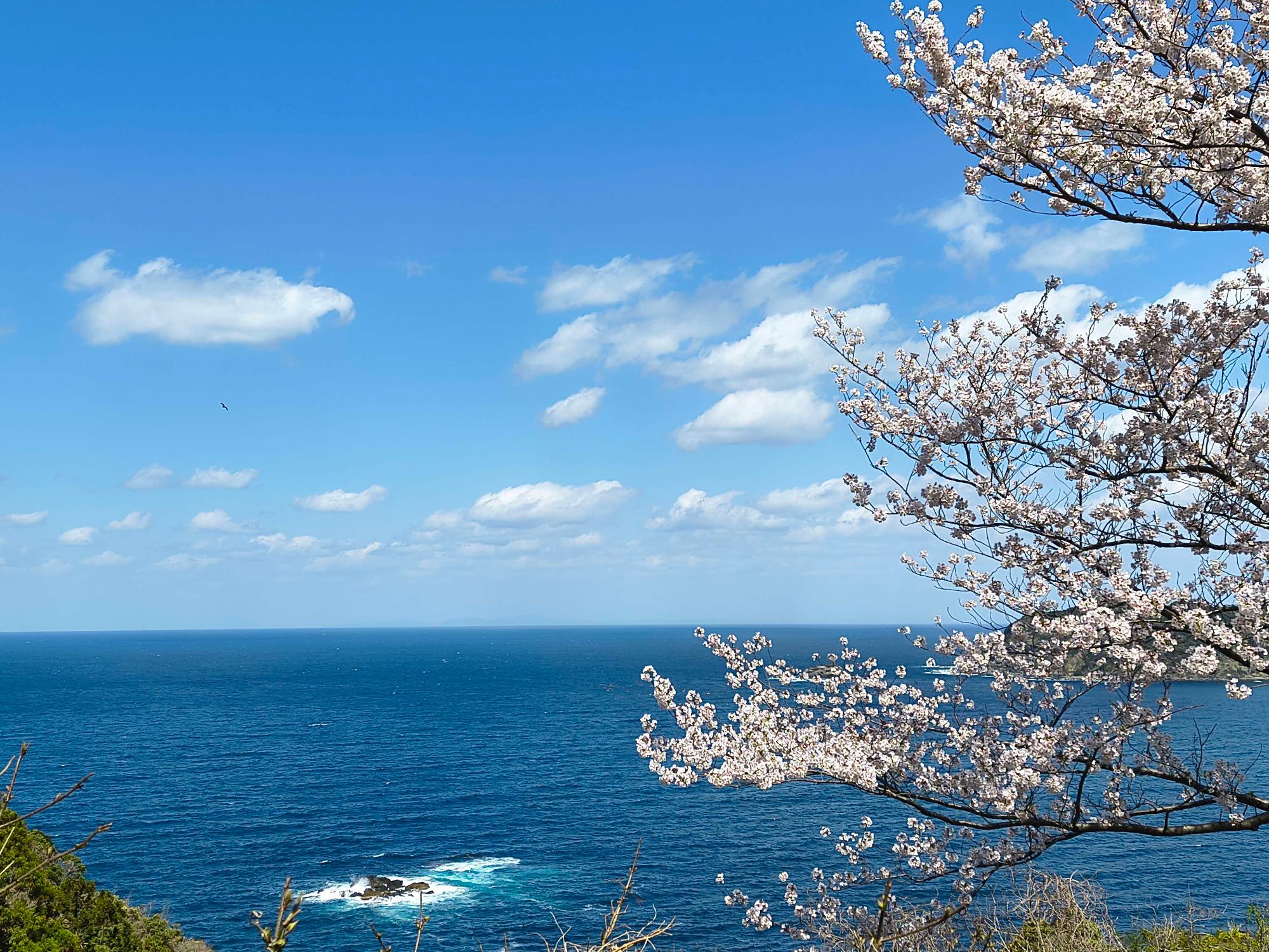鈴木さん海写真