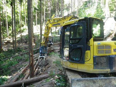 林業機械を使用して森林整備をしている写真