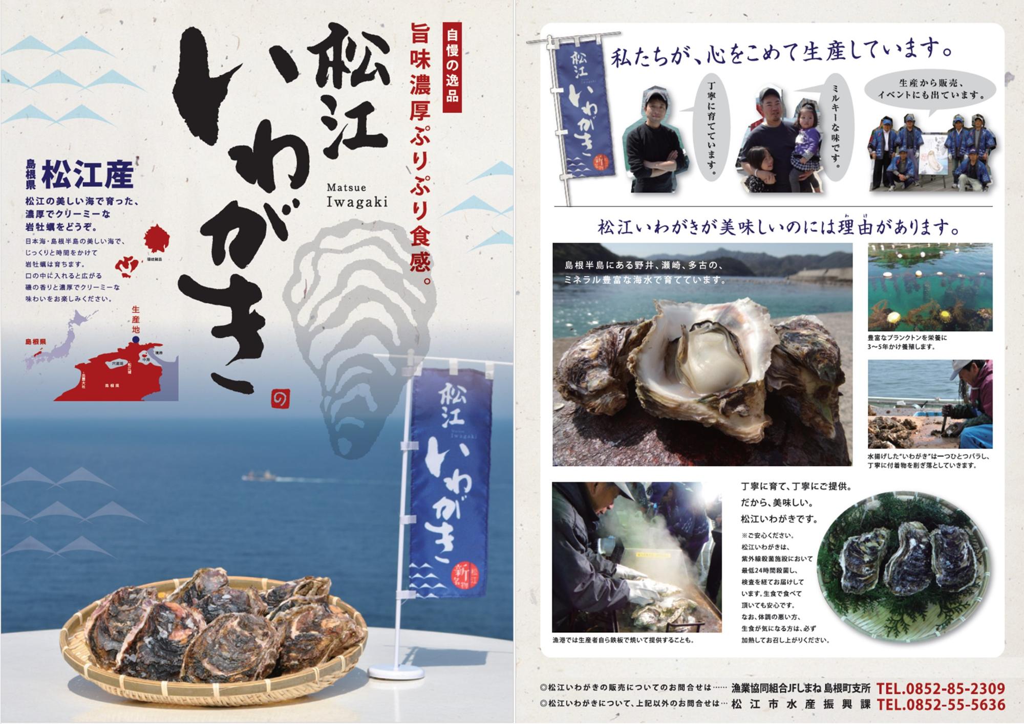イワガキチラシ