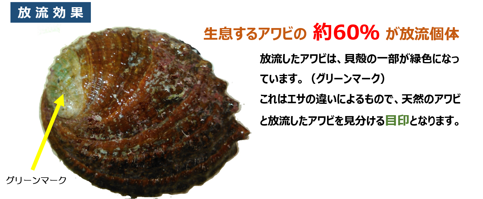 グリーンマーク