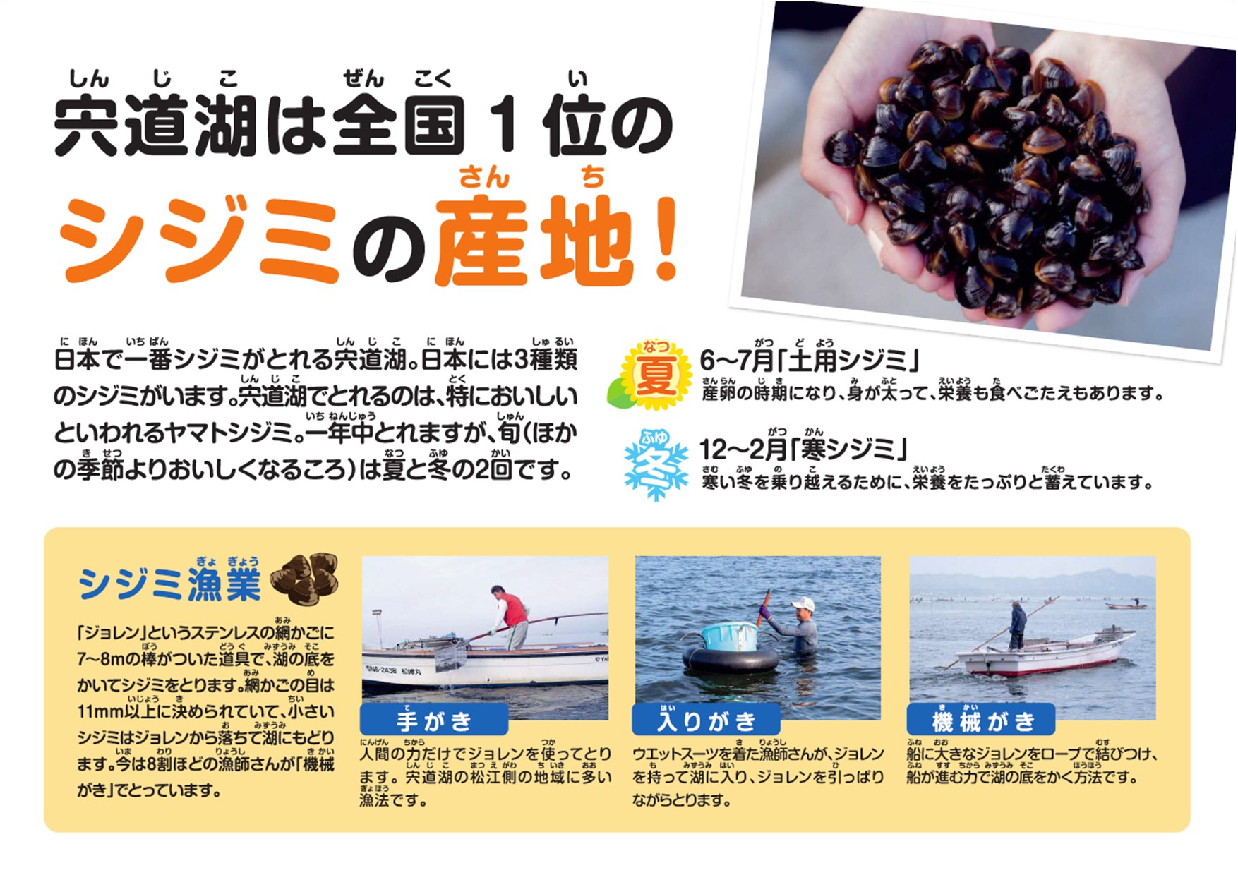 パネル