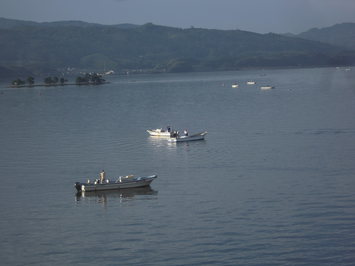 宍道湖に浮かぶ複数の船がうす暗い中シジミ漁をする風景の写真