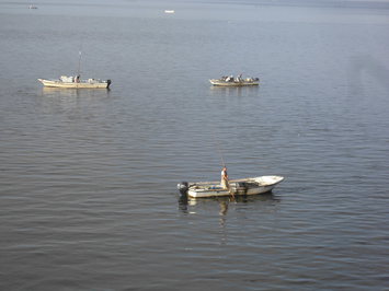 2隻の船の手前で1隻の船の上に立ち、シジミ漁をする男性を写した写真